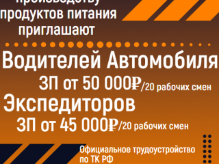 Водитель автомобиля