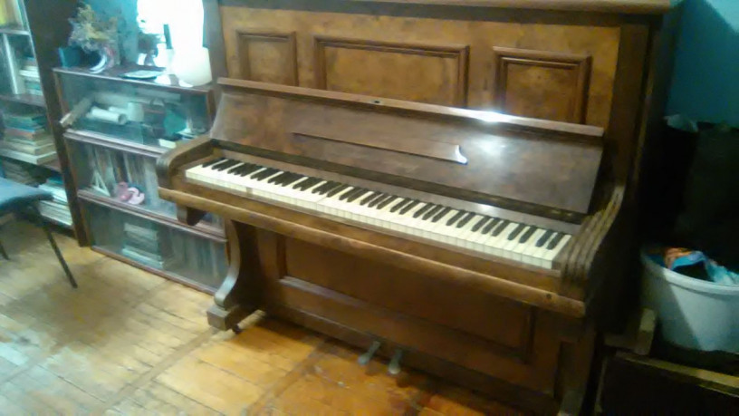 antikvarnoe-pianino-bretschneider-leipzig-19vek-big-5
