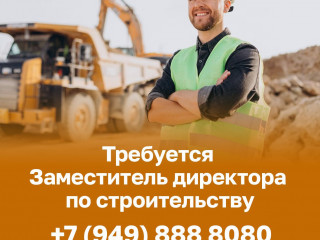 Заместитель директора по строительству