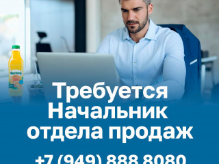 НАЧАЛЬНИК ОТДЕЛА ПРОДАЖ