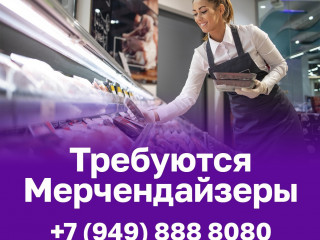 Мерчендайзеры