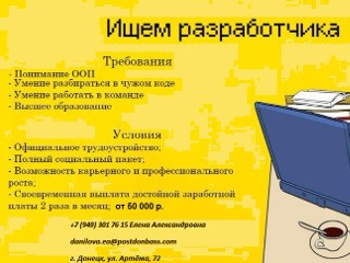 Разработчик программы