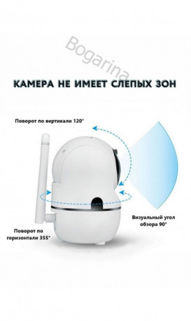 videonyanya-bogarina-s-mikrofonom-big-5