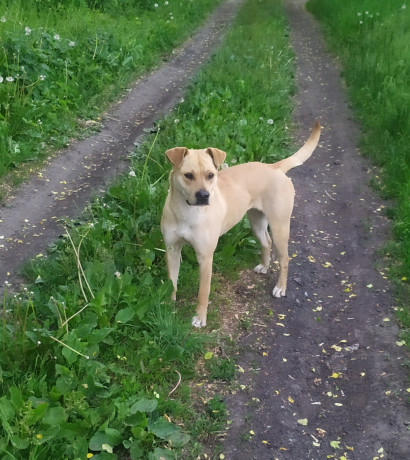 otdam-v-xorosie-ruki-big-1