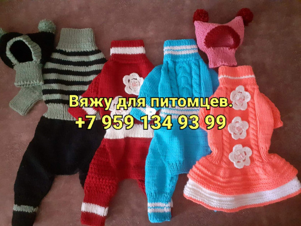vyazu-dlya-pitomcev-rucnaya-rabota-big-0