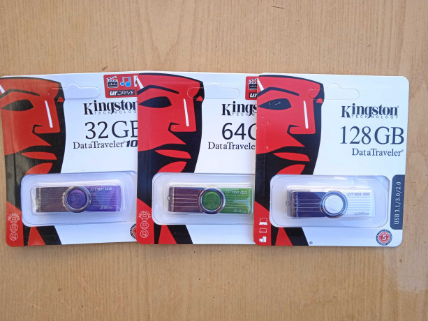 rasprodazafleska-usb-kingston-data-traveler-101-g2-garantiya-big-0