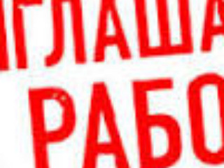 Cистемный администратор