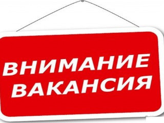 Главный бухгалтер