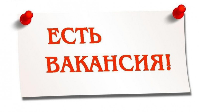 rukovoditel-otdela-bezopasnosti-supermarketa-big-0