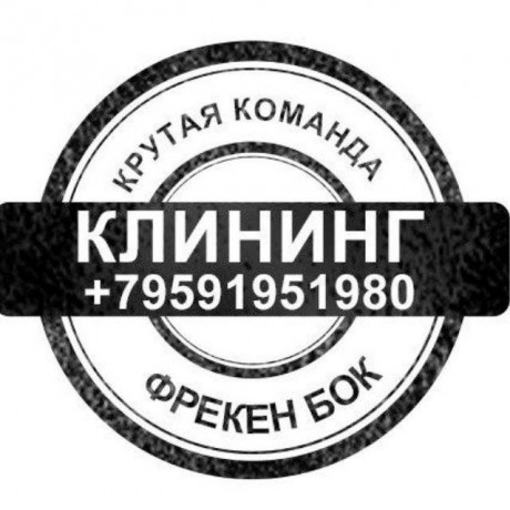 uborka-domov-kvartir-ofisov-cistka-myagkoi-mebeli-big-1
