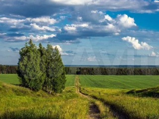 Участок 1 сот. (ИЖС)