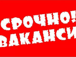 Заместитель руководителя производства(пекарня, кулинаярия, кондитерский цех)
