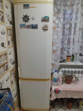 xolodilnik-ardo-bu-big-0