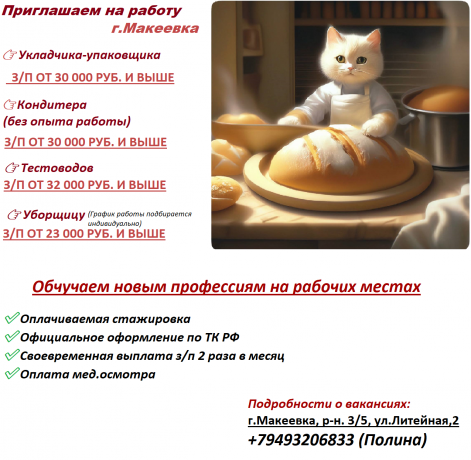 rabota-bez-opyta-s-obuceniem-ukladcik-upakovshhik-pekar-testomes-big-0