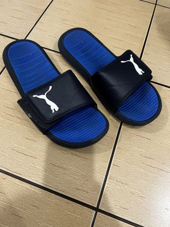 slepki-puma-big-3