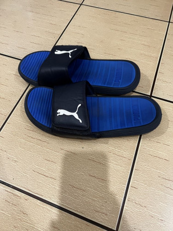slepki-puma-big-2