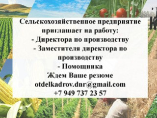 Директор по производству (сельскохозяйственное предприятие)