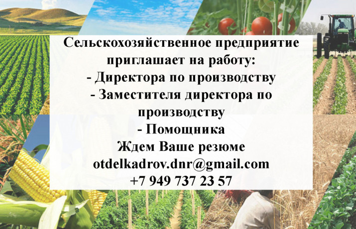 zamestitel-direktora-po-selxoz-proizvodstvu-big-0