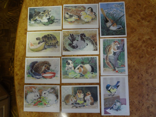 otkrytki-raznye-sovetskie-big-6