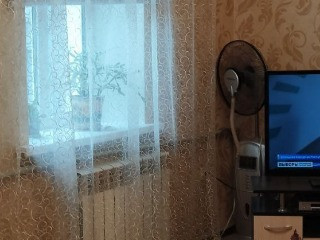 Дом на Ветке с удобствами и газом, 8 соток Приватизированной Земли