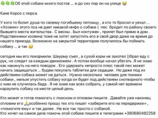 Мариуполь. Помогите спасти собаку