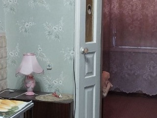 Часть Дома, отдельный двор, Центр. Канализац., Военный Лицей / Роддом 6