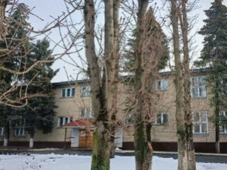 Предлагаю работу