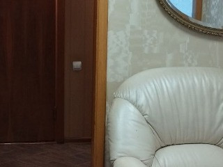 3х комн. Чешка, 2/9этаж., + Кладовая, с Мебелью/Техникой, Донской / Караван