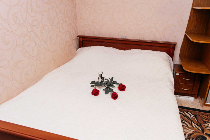 kvartira-posutocno-pocasovo-v-donecke-proletarskii-raion-big-0