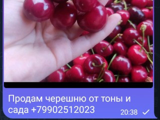 Продам черешню от тоны и выше исада