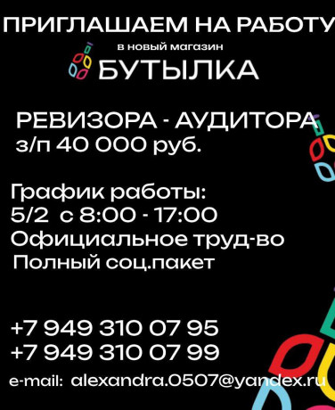 revizor-auditor-big-0