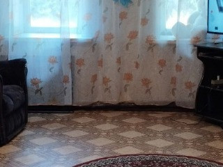 Дом в Центре Города - Рем.Быт.Техника/Цирк, удобства, отопление, ровный участок