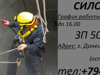 Силосник