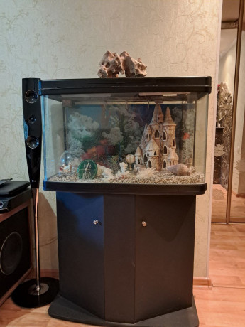 prodam-akvarium-big-0