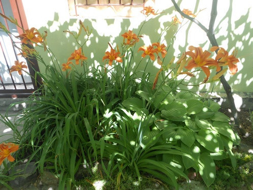 prodam-deistvuyushhii-pansionat-na-belosaraiskoi-kose-big-4