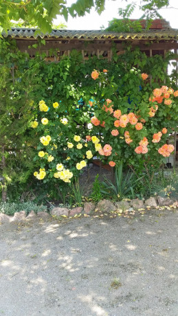 prodam-deistvuyushhii-pansionat-na-belosaraiskoi-kose-big-2