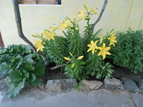 prodam-deistvuyushhii-pansionat-na-belosaraiskoi-kose-big-6