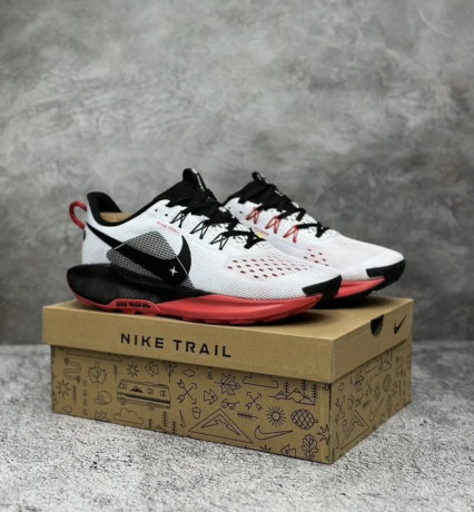 sportivnye-krossovki-dlya-bega-nike-pegasus-trail-5-big-1