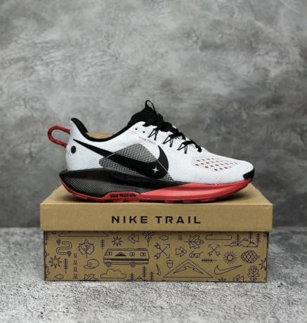 sportivnye-krossovki-dlya-bega-nike-pegasus-trail-5-big-3