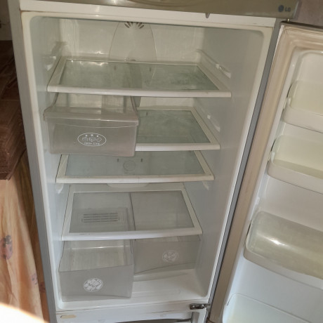 prodayotsya-xolodilnik-lg-express-cool-big-2