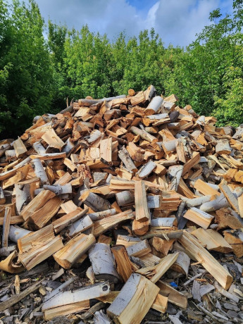 drova-enakievo-gorlovka-big-2