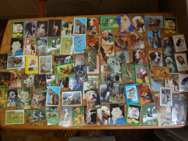 kalendariki-karmannye-raznye-big-0