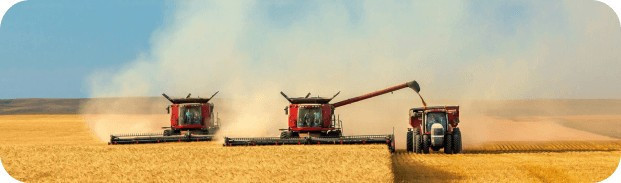 podsolnecnoe-i-soevoe-maslo-optom-tm-zolotaya-semecka-big-1