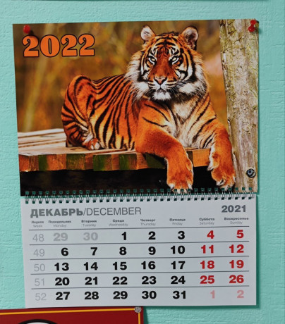 pecat-i-dizain-kalendarei-na-2026-g-big-1