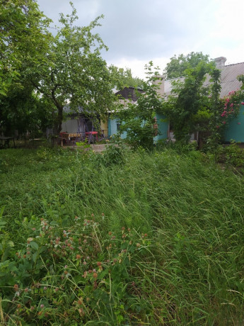 banya-ul-olxovskaya-p-bazanova-big-3