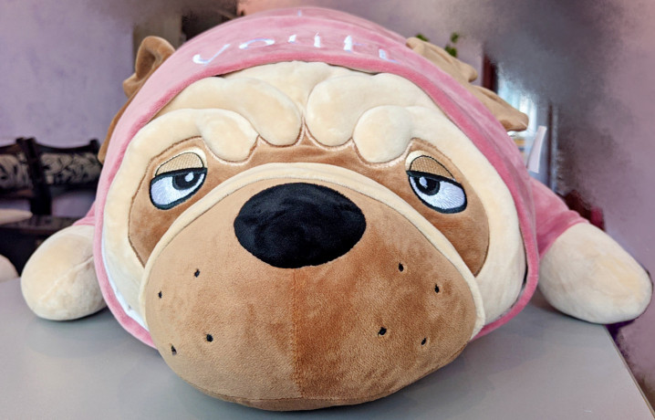 myagkaya-igruska-sobaka-mops-poduska-90sm-big-0