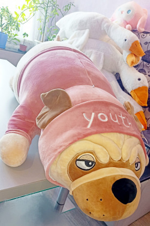 myagkaya-igruska-sobaka-mops-poduska-90sm-big-7