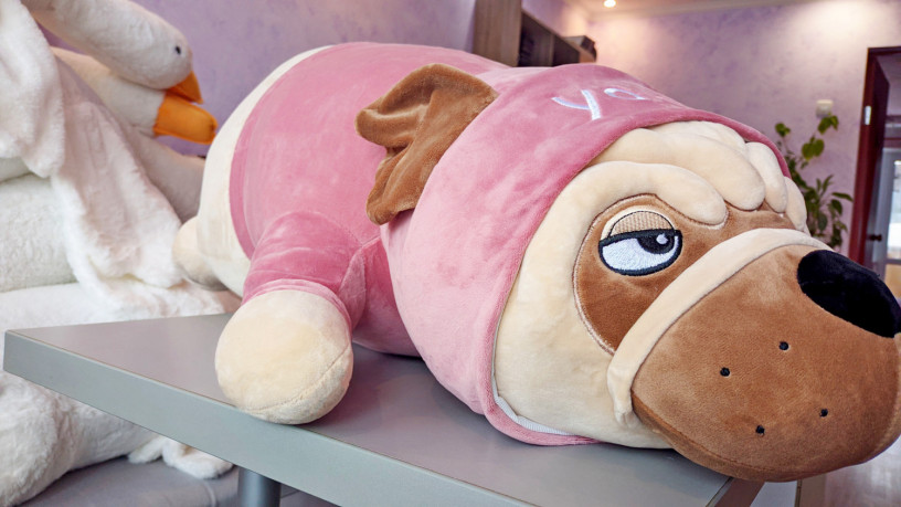 myagkaya-igruska-sobaka-mops-poduska-90sm-big-1