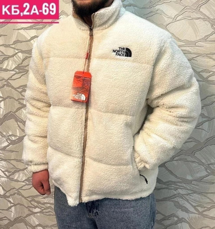topovye-dvuxstoronnie-kurtki-tnf-big-0