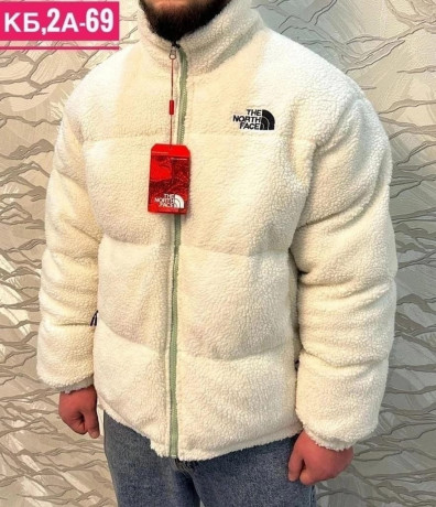 topovye-dvuxstoronnie-kurtki-tnf-big-4
